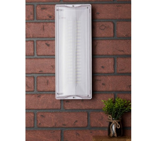 Светильник аварийного освещения SAFEWAY-40 LED  dpa-202 2Вт; 1.5часа; ip 54  EKF