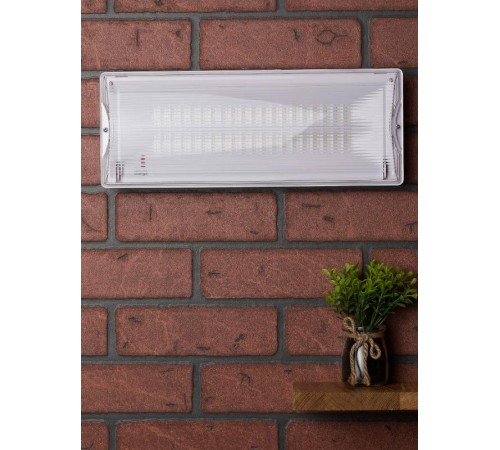 Светильник аварийного освещения SAFEWAY-40 LED  dpa-202 2Вт; 1.5часа; ip 54  EKF