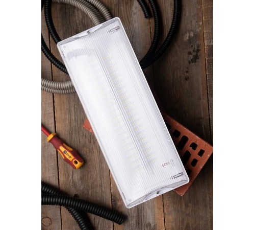 Светильник аварийного освещения SAFEWAY-40 LED  dpa-202 2Вт; 1.5часа; ip 54  EKF