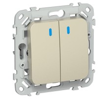 FLITE Выключатель 2-клавишный с индикацией 10А ВС12-1-1-ФлШ шампань  FI-V20-1-10-1-K37  IEK