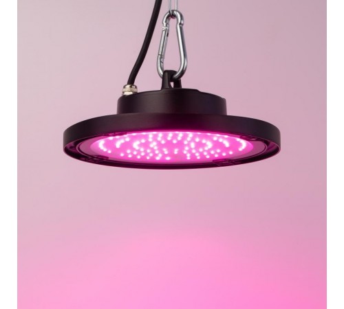 Фитопрожектор для растений светодиодный 50Вт FITO-50W-RB-LED-UFO красно-синего спектра  Б0053280  ЭРА