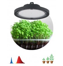 Фитопрожектор для растений светодиодный 50Вт FITO-50W-RB-LED-UFO красно-синего спектра  Б0053280  ЭРА