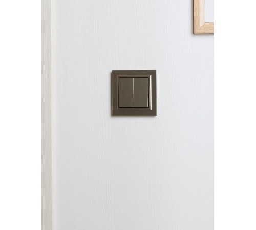 BRITE Рамка 1-ая РУ-1-БрШ шампань  BR-M12-K37  IEK