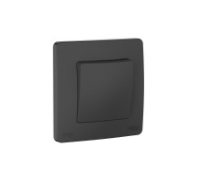 Blanca Антрацит С/У IP44 Переключатель 1-клавишный (сх.6), 10AX, 250В  BLNVS410606   SE