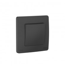 Blanca Антрацит С/У IP44 Переключатель 1-клавишный (сх.6), 10AX, 250В  BLNVS410606   SE