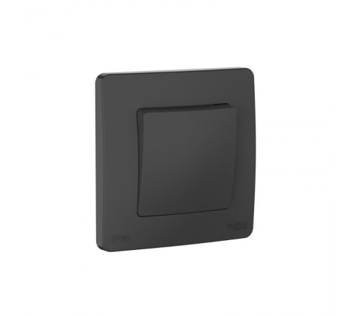 Blanca Антрацит С/У IP44 Переключатель 1-клавишный (сх.6), 10AX, 250В  BLNVS410606   SE