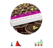 Светильник светодиодный для растений красно-синий спектр ЭРА FITO-9W-Т5-N  Б0045231  ЭРА