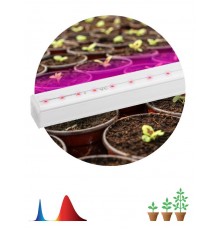 Светильник светодиодный для растений красно-синий спектр ЭРА FITO-9W-Т5-N  Б0045231  ЭРА