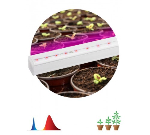 Светильник светодиодный для растений красно-синий спектр ЭРА FITO-9W-Т5-N  Б0045231  ЭРА