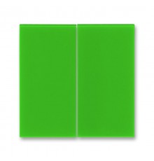 ABB Levit Зелёный Сменная панель на клавиши для выключателя двухклавишного  ND3559H-A447 67  2CHH594470A8067  ABB