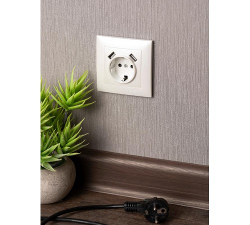 Валенсия лицевая панель розетки 1-местной с/з 16А жемчуг с защ. штор. с 2 USB 2,1А EKF PROxima   ESR16-L-028-50-2USB   EKF