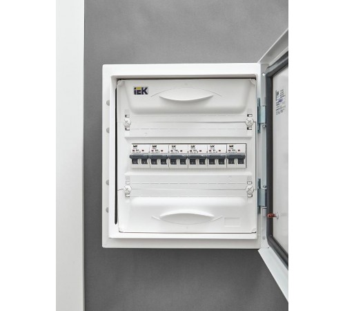 Выключатель автоматический двухполюсный M06N 2P D 50А 6кА ARMAT  AR-M06N-2-D050  IEK