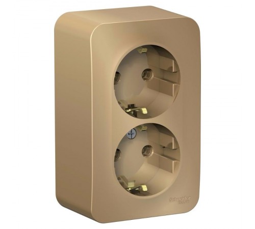 Blanca Титан О/У Розетка 2-ая с заземлением без шторок, 16А, 250В  BLNRA010204  SE