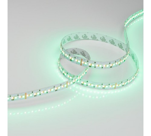 Лента светодиодная RT-GM288-12mm 24V RGBW-MIX (19.2 W/m, IP20, 3838/2216, 5m) (arlight, Открытый)  028258(2)  Arlight