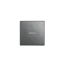 Клавиша для одинарного выключателя с окошком; антрацит  EP490KOAN  Jung