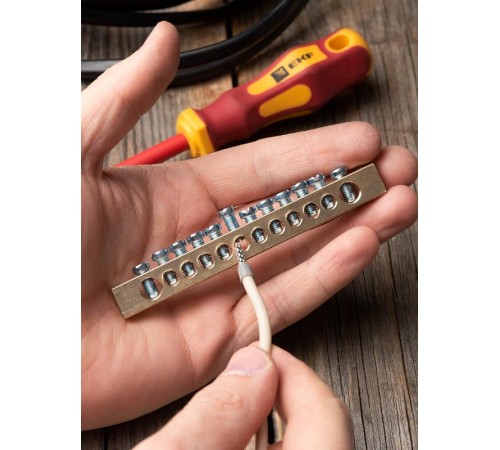 Шина "0" (8х12мм.) 125А  12 отверстий крепеж по краям латунь EKF PROxima  sn0-125-12-k  EKF