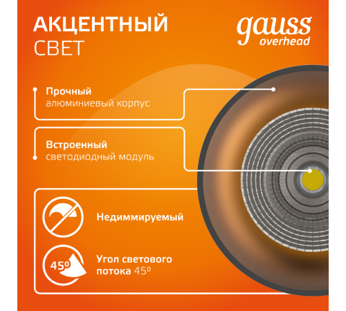 Светильник  Overhead накл цил 12W 900lm 3000K 170-240V IP20 79*200мм черный LED 1/10/30  HD009  Gauss