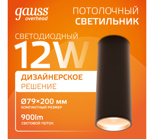 Светильник  Overhead накл цил 12W 900lm 3000K 170-240V IP20 79*200мм черный LED 1/10/30  HD009  Gauss