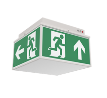 Световой указатель аварийного освещения светодиодный Quad серии Advanced 6W IP20/IP65 3ч Teletest  V1-EM-70432-31A01-2000665  VARTON