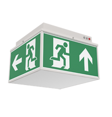 Световой указатель аварийного освещения светодиодный Quad серии Advanced 6W IP20/IP65 3ч Teletest  V1-EM-70432-31A01-2000665  VARTON