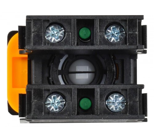 Переключатель с ключом 2 полож. 1NO+1NC чёрный MASTER  MI-SW60-11Y-3-34-2-K02  IEK