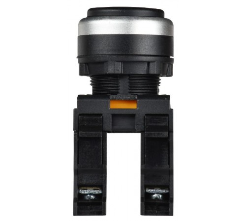 Переключатель с ключом 2 полож. 1NO+1NC чёрный MASTER  MI-SW60-11Y-3-34-2-K02  IEK