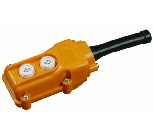 Пульт управления ПКТ-61 на 2 кнопки IP54    BPU10-2  IEK