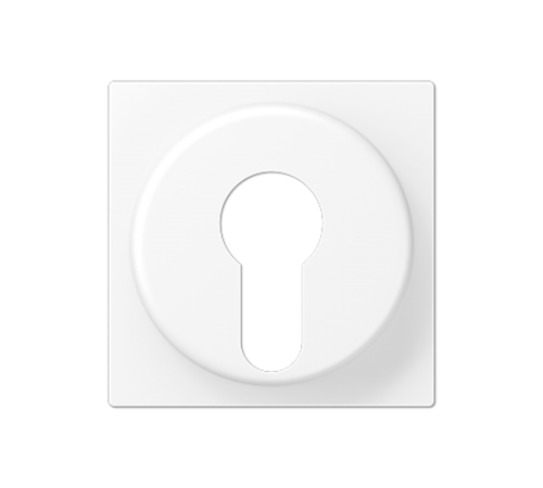 Накладка на выключатель замочного механизма; термопласт; белый матовый  A528PLWWM  Jung