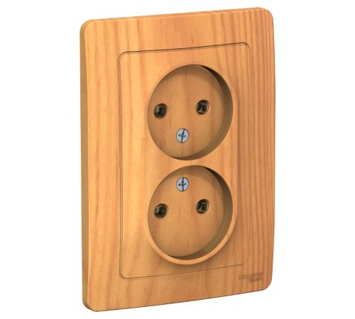 Blanca Ясень С/У Розетка 2-ая без заземления без шторок, 16А, 250В  BLNRS000025  SE