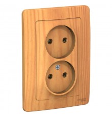 Blanca Ясень С/У Розетка 2-ая без заземления без шторок, 16А, 250В  BLNRS000025  SE