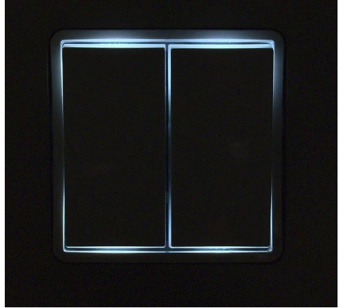 Inspiria Алюминий Переключатель двухклавишный с подсветкой 10AX  673667 Legrand