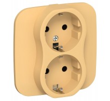 FLITE Розетка 2-ая с заземлением без шторок быстрозажимные клеммы 16А РС12-1-А-ФлЗ золотарник  FI-R21A-16-1-K90  IEK