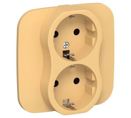 FLITE Розетка 2-ая с заземлением без шторок быстрозажимные клеммы 16А РС12-1-А-ФлЗ золотарник  FI-R21A-16-1-K90  IEK