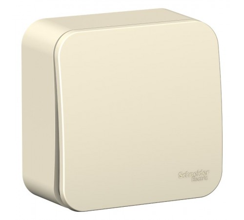 Blanca Молочный О/У с изолирующей пластиной Переключатель 1-клавишный 10А, 250B  BLNVA106012  SE