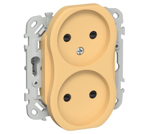 FLITE Розетка 2-ая без заземления со шторками быстрозажимные клеммы 10А РСш02-1-ФлЗ золотарникIEK  FI-R23-10-1-K90  IEK