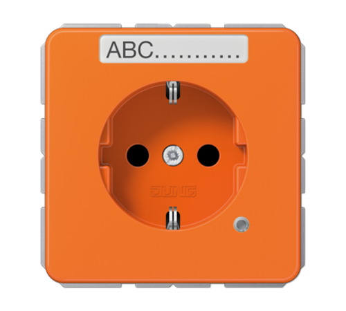 SCHUKO-розетка с полем для надписи и индикатором CD1520BFNAKOO Jung