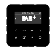 Цифровое радио DAB + DABCDSW Jung