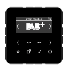 Цифровое радио DAB + DABCDSW Jung