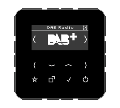 Цифровое радио DAB + DABCDSW Jung