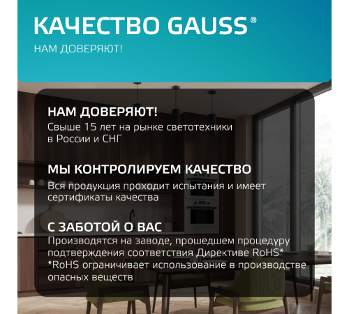 Светильник светодиодный накладной/подвесной HD035 12W (черный/золото) 4100K 79*200мм 1/10  HD035  Gauss