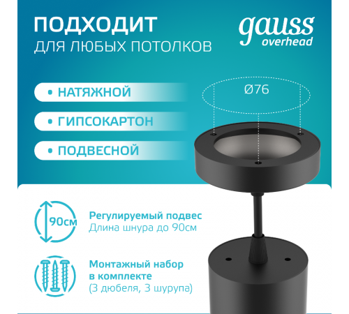 Светильник светодиодный накладной/подвесной HD035 12W (черный/золото) 4100K 79*200мм 1/10  HD035  Gauss