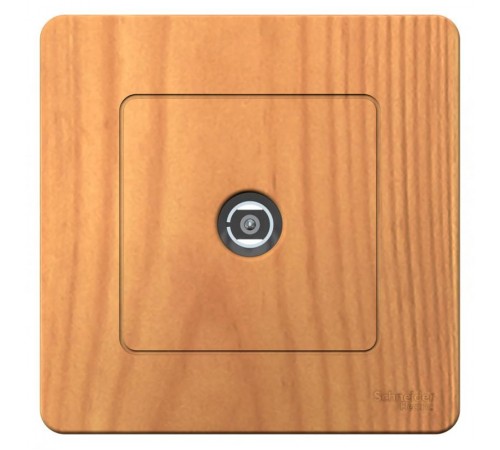 Blanca Ясень С/У Розетка TV  BLNTS000015  SE