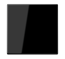 Одинарная клавиша для балансирных механизмов выключателей (кнопок), в комплекте с CD90HP (крепежный элемент), возможно IP44; дюропласт; черный; LS990 