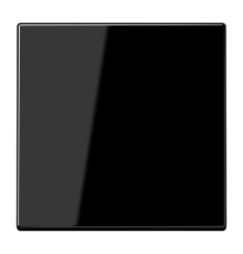 Одинарная клавиша для балансирных механизмов выключателей (кнопок), в комплекте с CD90HP (крепежный элемент), возможно IP44; дюропласт; черный; LS990 