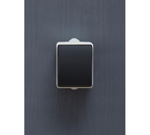 Форс Выключатель кнопочный О/У IP54 ВСк20-1-0-ФСр  EVS13-K03-10-54-DC  IEK