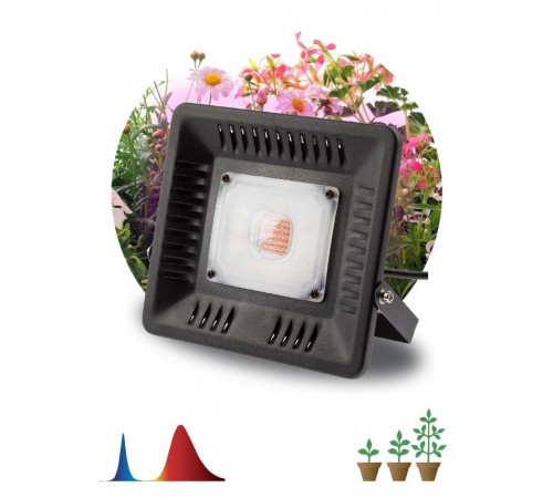 Прожектор светодиодный фито для растений красно-синий спектр FITO-50W-LED BLUERED  Б0039033  ЭРА