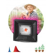 Прожектор светодиодный фито для растений красно-синий спектр FITO-50W-LED BLUERED  Б0039033  ЭРА