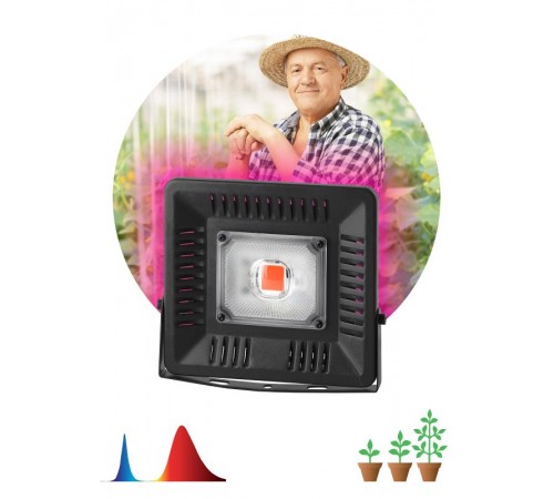 Прожектор светодиодный фито для растений красно-синий спектр FITO-50W-LED BLUERED  Б0039033  ЭРА
