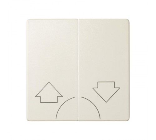 Simon 82 Клавиши (2 шт)  для двухклавишного кнопочного выключателя (2вх+2вых), S82, S82N, S82 Detail, слонова  82029-31  Simon