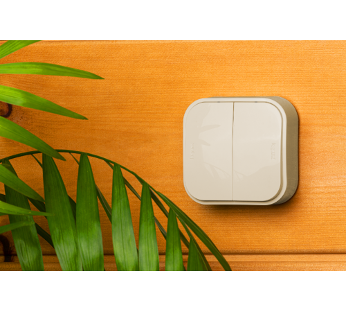 Quteo Слоновая кость Выключатель 2-клавишный 10А  782232  Legrand